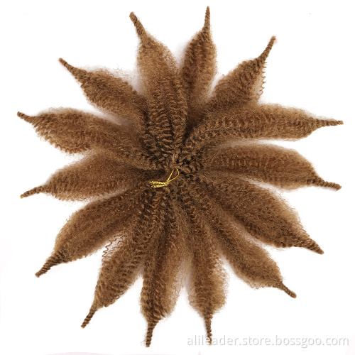 Afro Kinky Twist Natural Soft Marley Braiding Extension